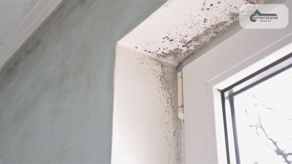 BS 5250 is the authoritative code of practice for managing moisture in UK buildings.