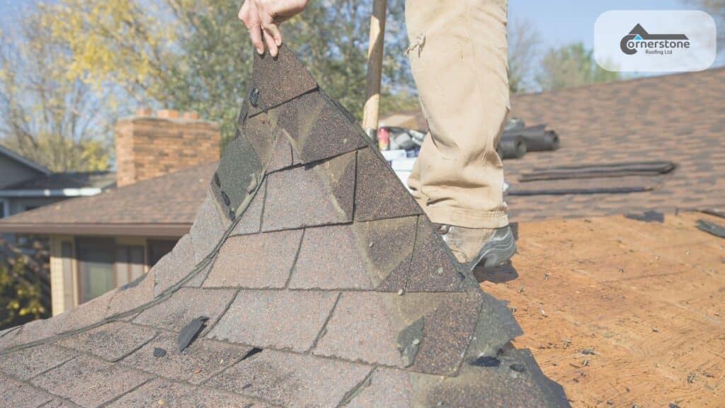Find reliable roof repair services in Mid Sussex. Learn the signs of damage, tips for choosing the best contractor, and why local roofers offer better value.