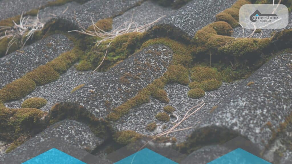 Discover the lifespan of different roofing materials & key factors that affect roof longevity. Learn how to maintain your roof for maximum durability!