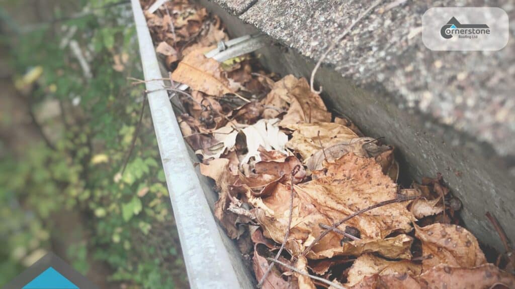 Learn how to prevent blocked gutters and overflowing downpipes with essential maintenance tips. Discover the causes, solutions, and the role of landscaping in keeping your drainage systems clear.