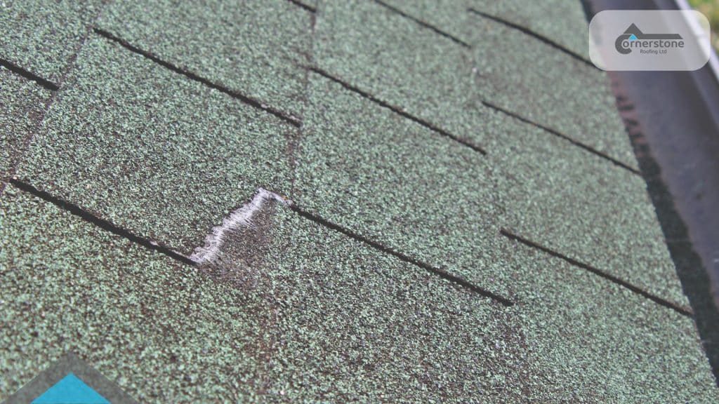 A Sussex roofer's checklist for spotting early signs of roof damage from the ground, in the loft, and indoors - before a leak appears.